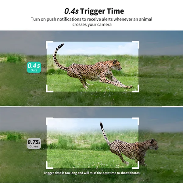 4G TRAIL CAMERA (RW10)