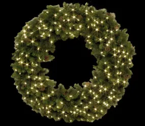 American Lighting 031-LED-WR-48