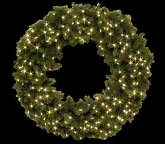 American Lighting 031-LED-WR-48