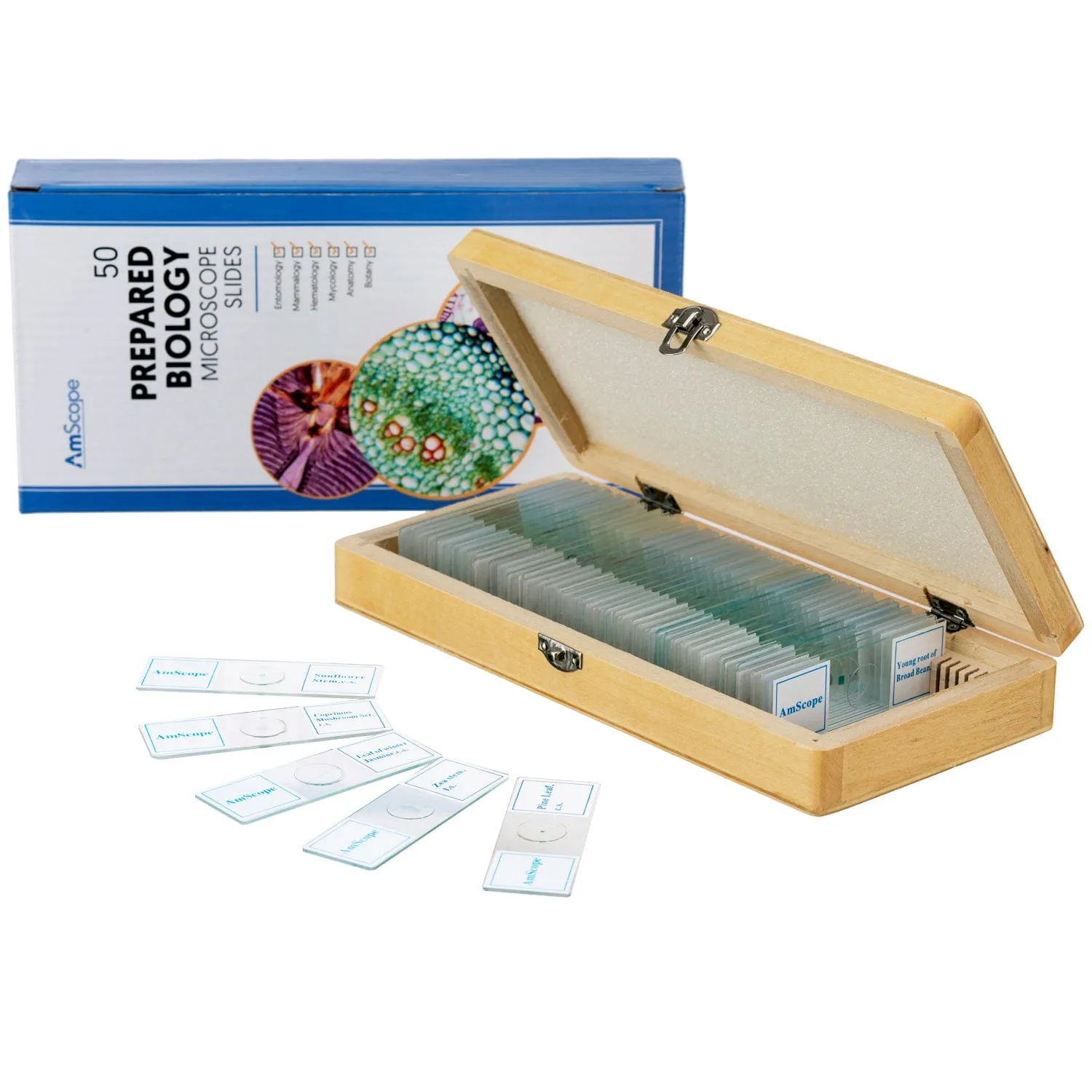 AmScope B110 Series Premium Student Lab Binocular Compound Microscope Bundles: 40X-1000X dual LED, Ergonomic, with Digital Camera, Tweezers, and Prepared Microscope Slide Set