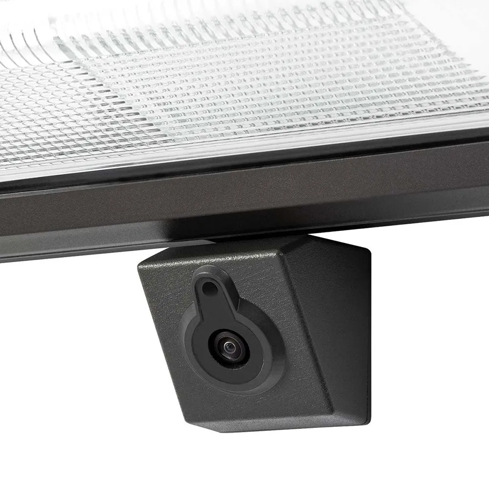 Atlas Lighting Witness Wall Light Classic WLM-WIT