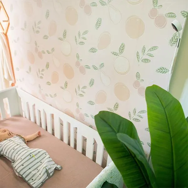 bbluv, Wifi Baby Monitor HD Camera