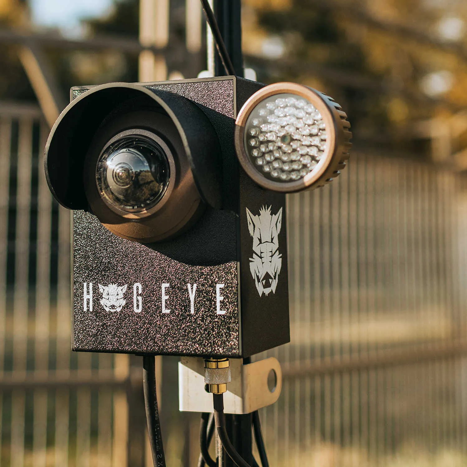 HogEye | Camera System | Wildlife Management | For Feral Hog Trapping