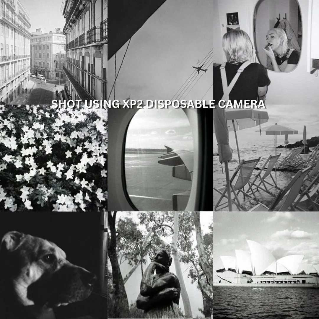 ILFORD XP2 Super Black and White Disposable Camera with 27 Exposures, ISO 400, 35mm Film Format, C41 C-41 Film Format and Built-In Flash for Point and Shoot Photography