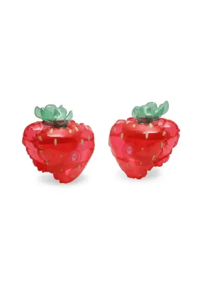 KS102486 - Water Wings - Strawberry