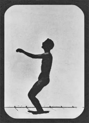 Lenticular Postcard - Back Somersault