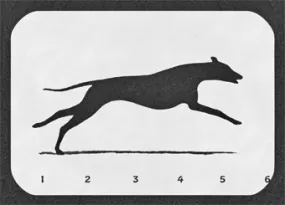 Lenticular Postcard - Running Greyhound