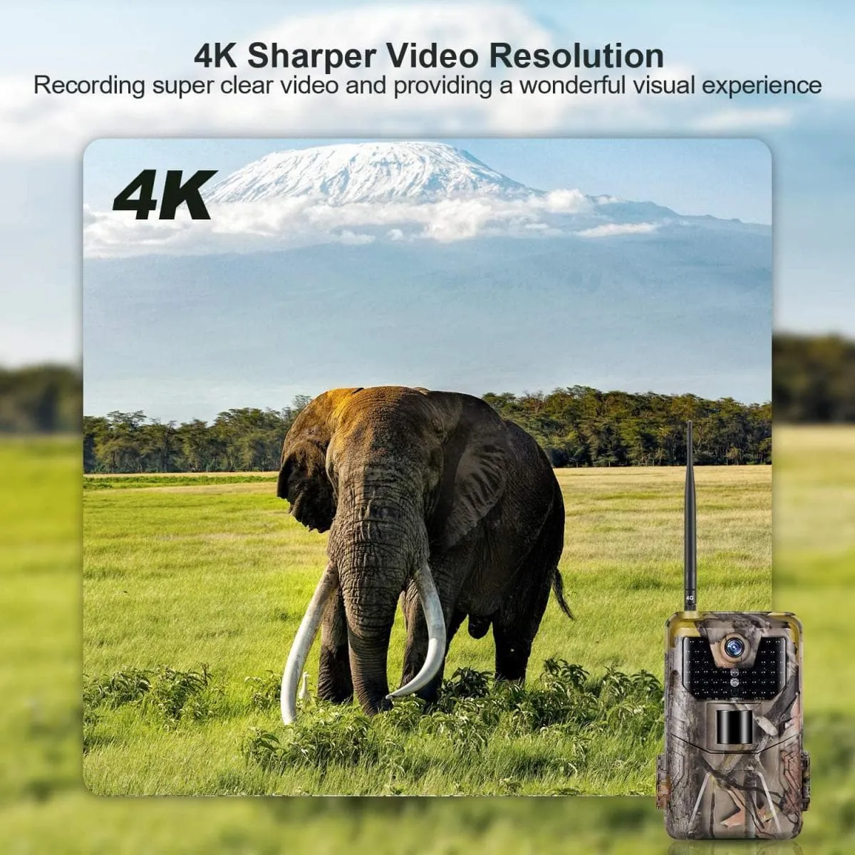 LTE 4G Cellular Trail Cameras 30MP 4k Live Video Wireless Camera for Wildlife Monitoring with 120°Detection Range Motion Activated Night Vision Waterproof