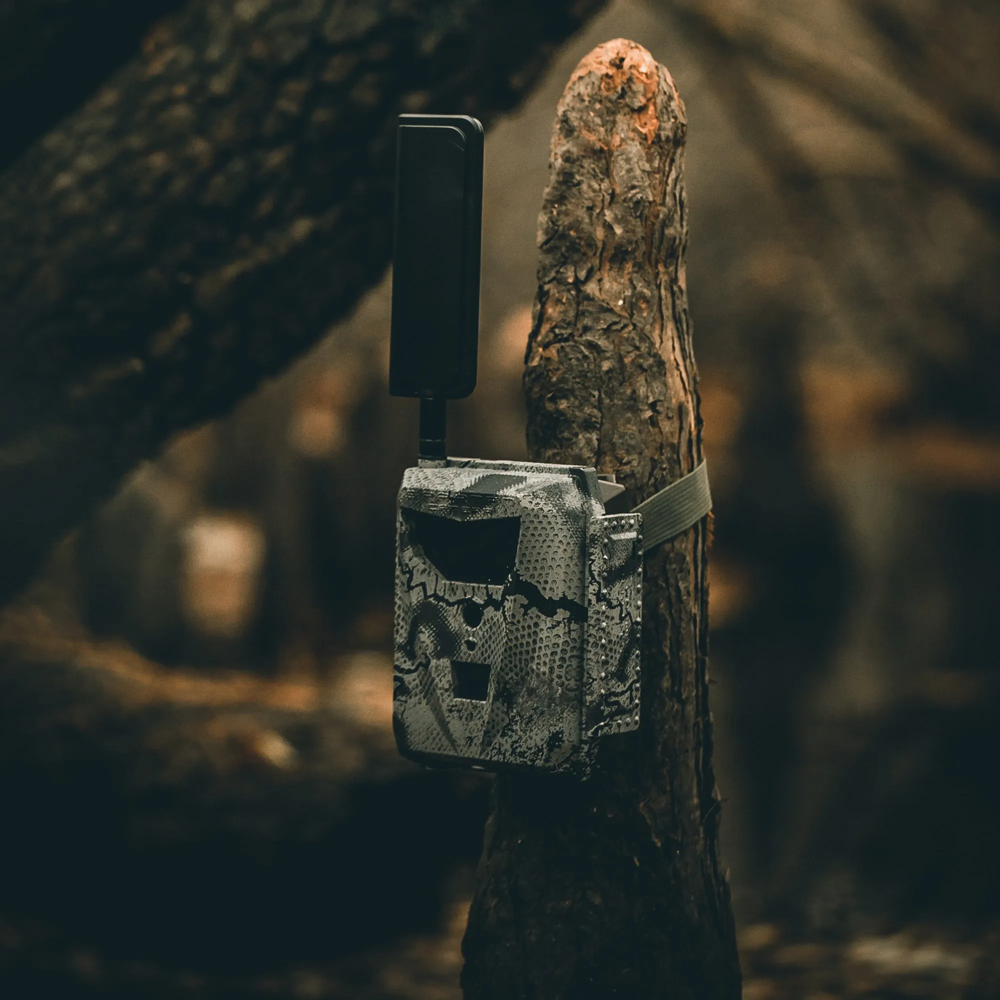 Repackaged Spartan Ghost 4G/LTE