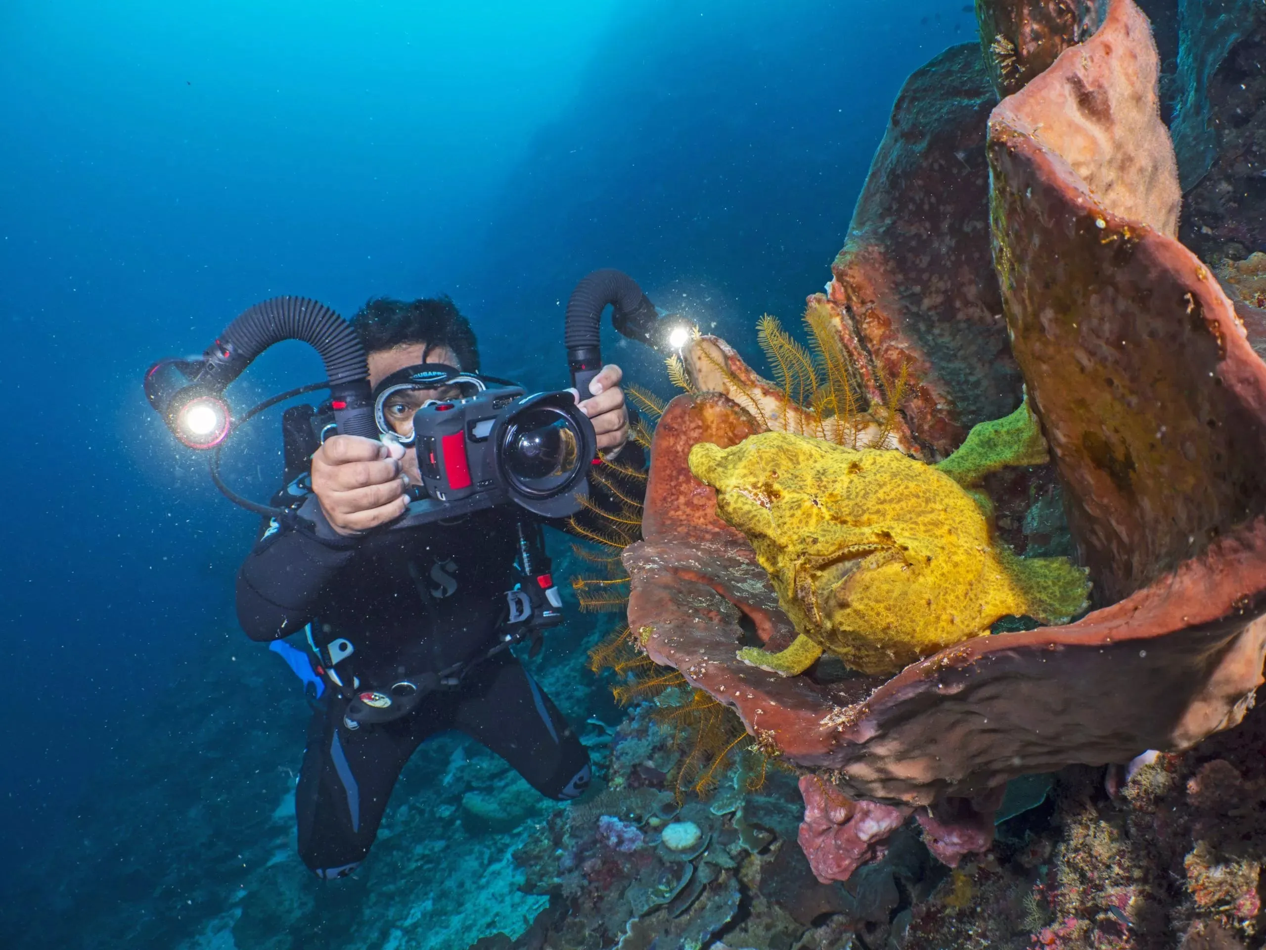 Sea Dragon 5000  COB LED Photo-Video Light w/Color Boost For Scuba Diving