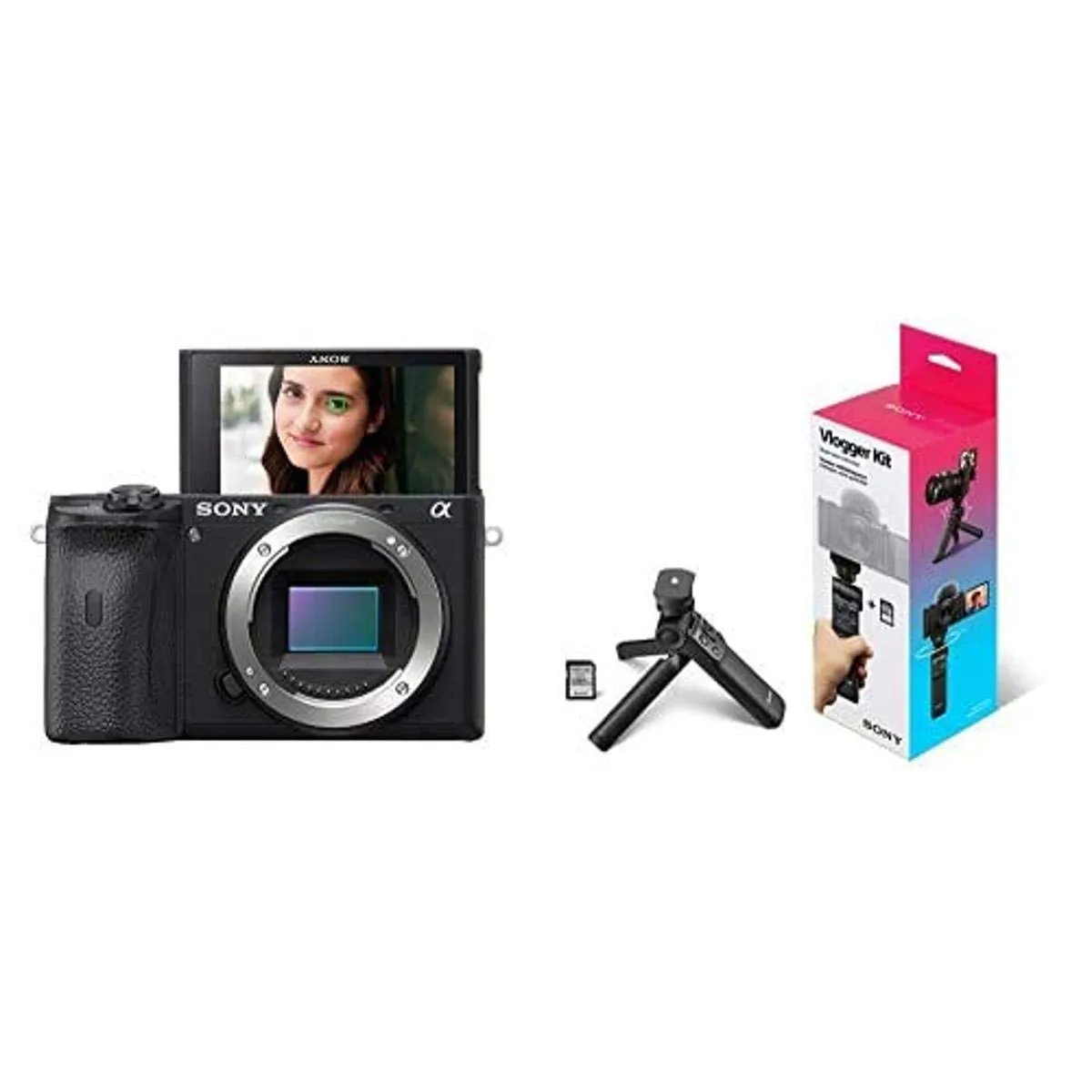 Sony ILCE6600/B Alpha A6600 Mirrorless Camera